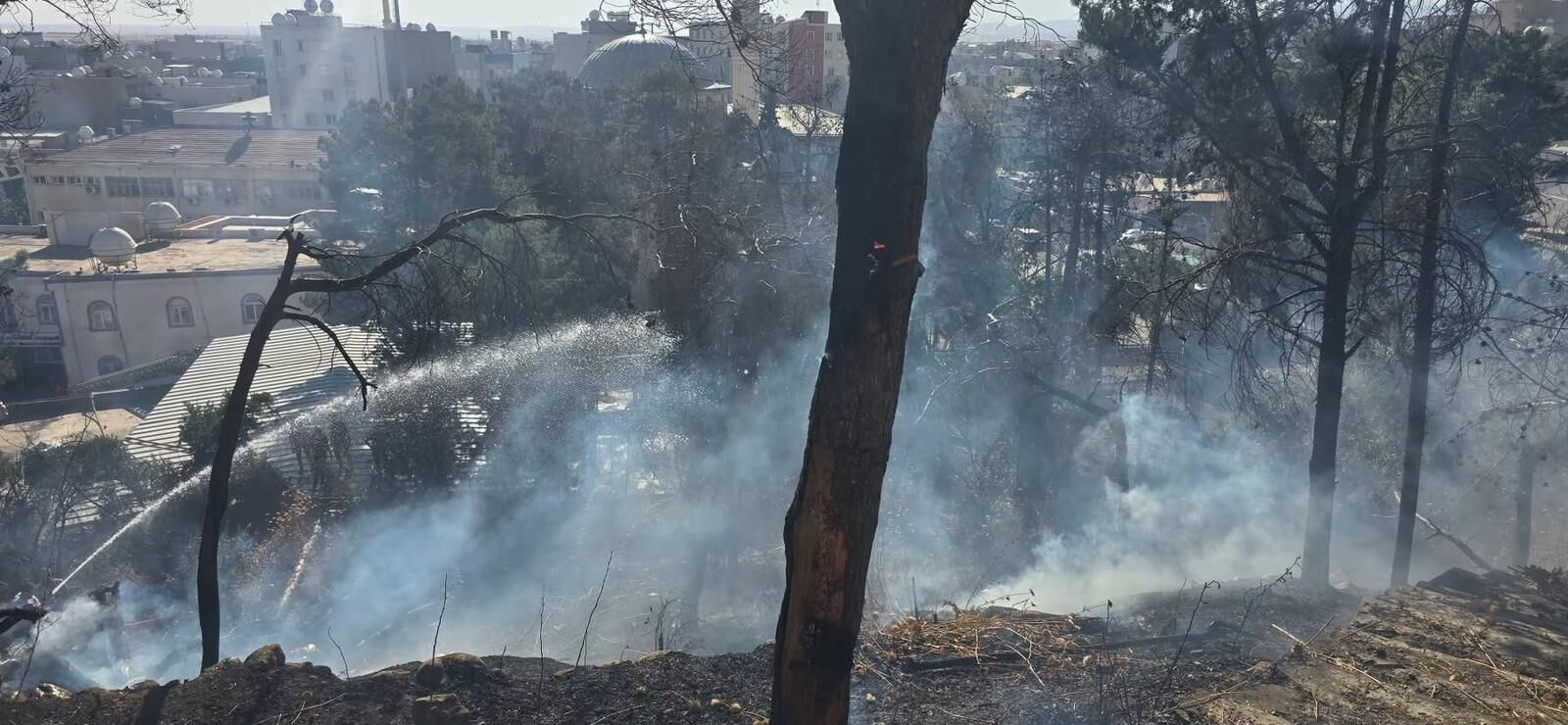 Girik Tepesi Yangın (3)