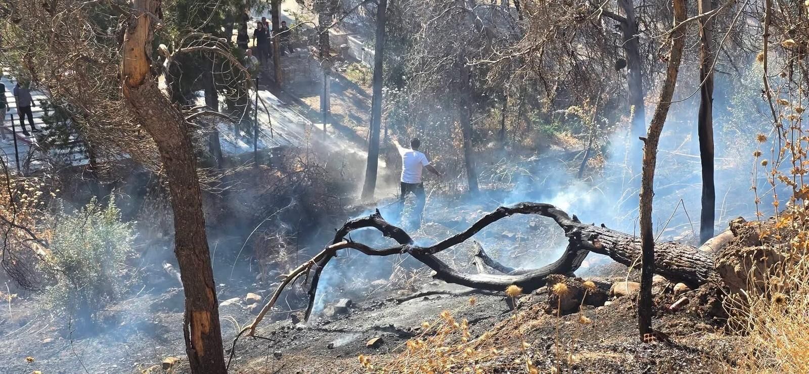 Girik Tepesi Yangın (6)