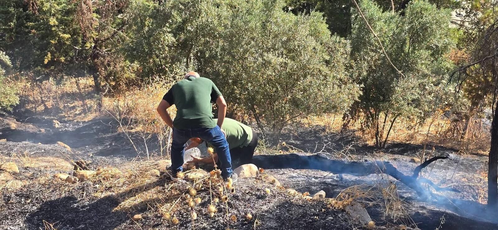 Girik Tepesi Yangın (7)