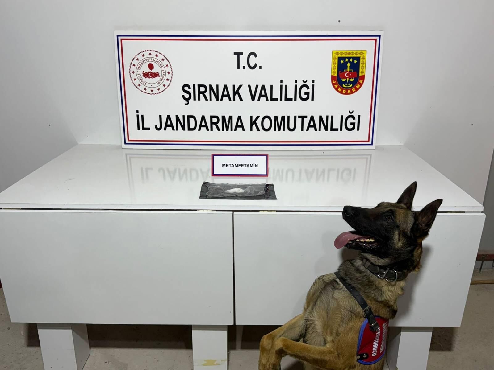 Jandarma (1)