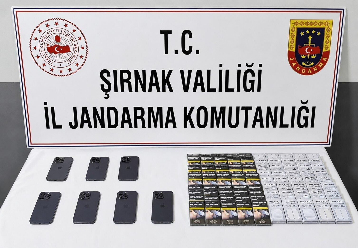 Jandarma (6)