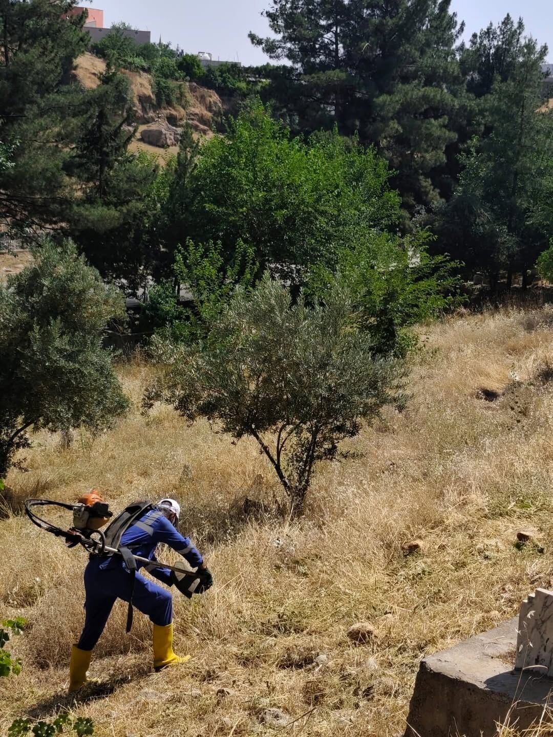 Mezarlıklar Müdürlüğümüz, Mezarlıklarımızda Ot Temizliği Çalışmalarına Devam Ediyor. (2)