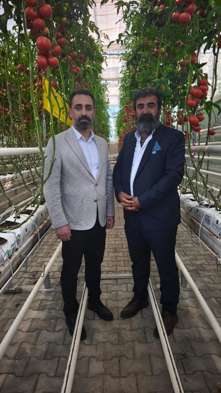 Teknoloji̇ (2)