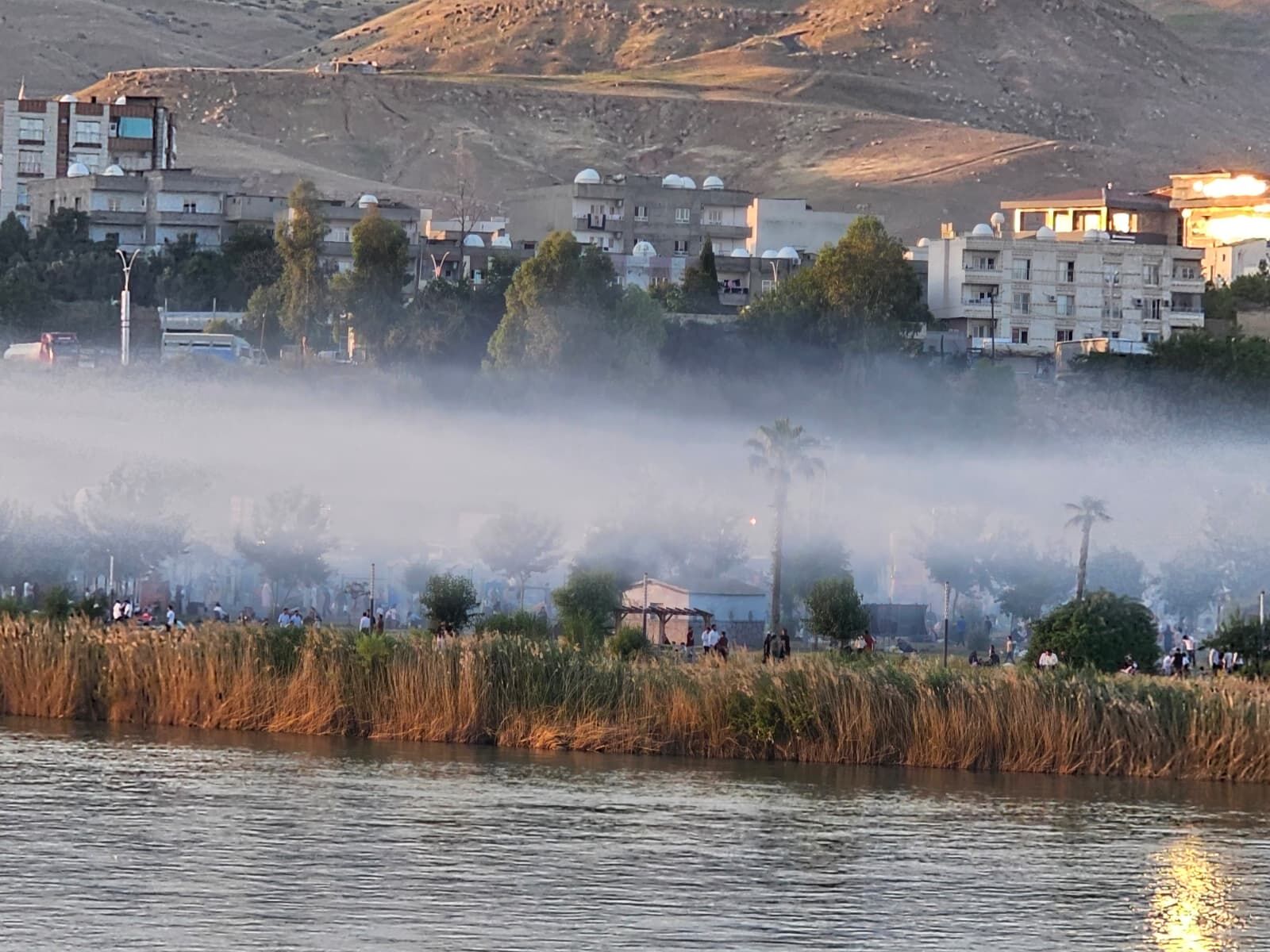 dicle-10