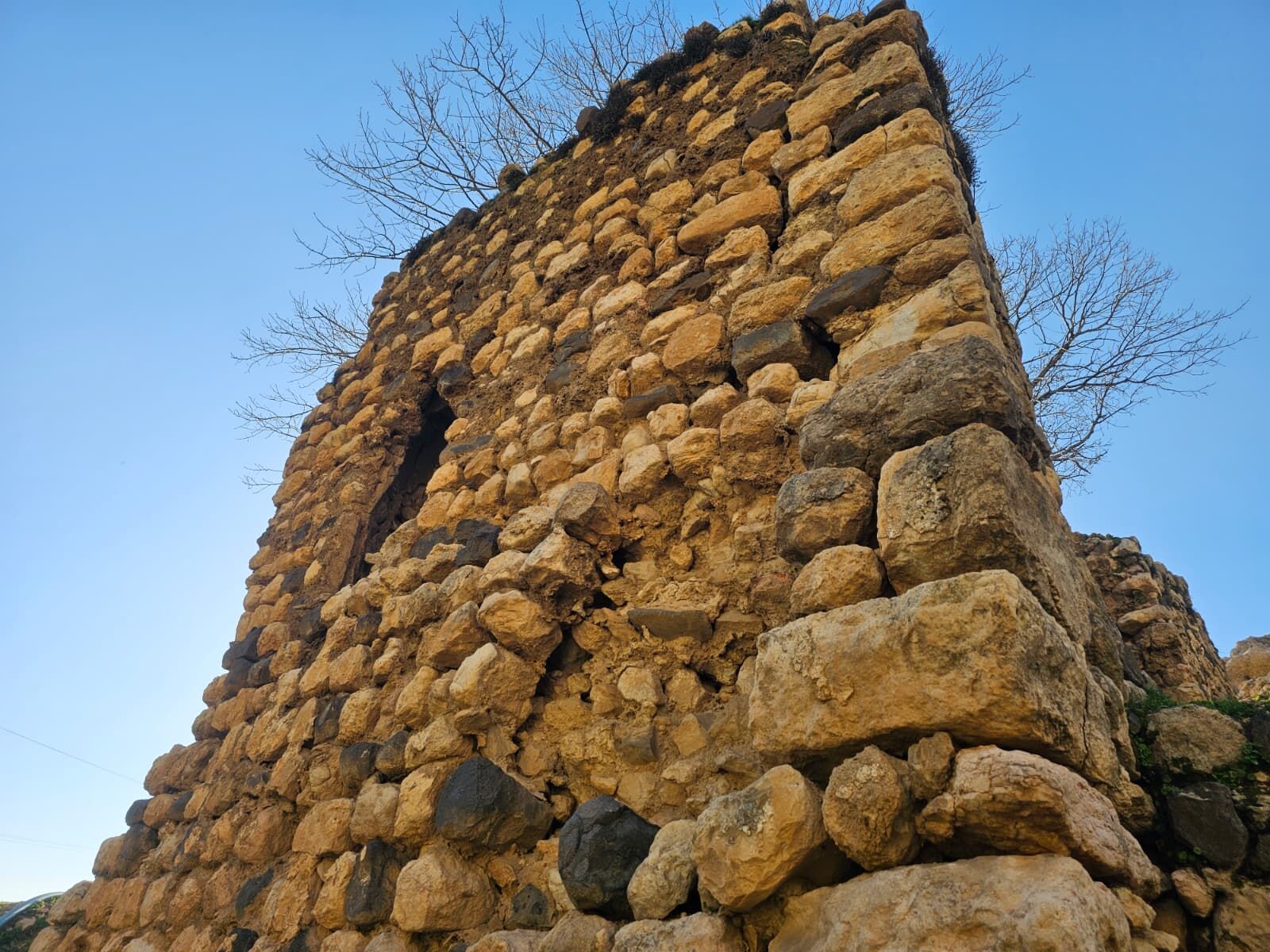 fege teyran-3