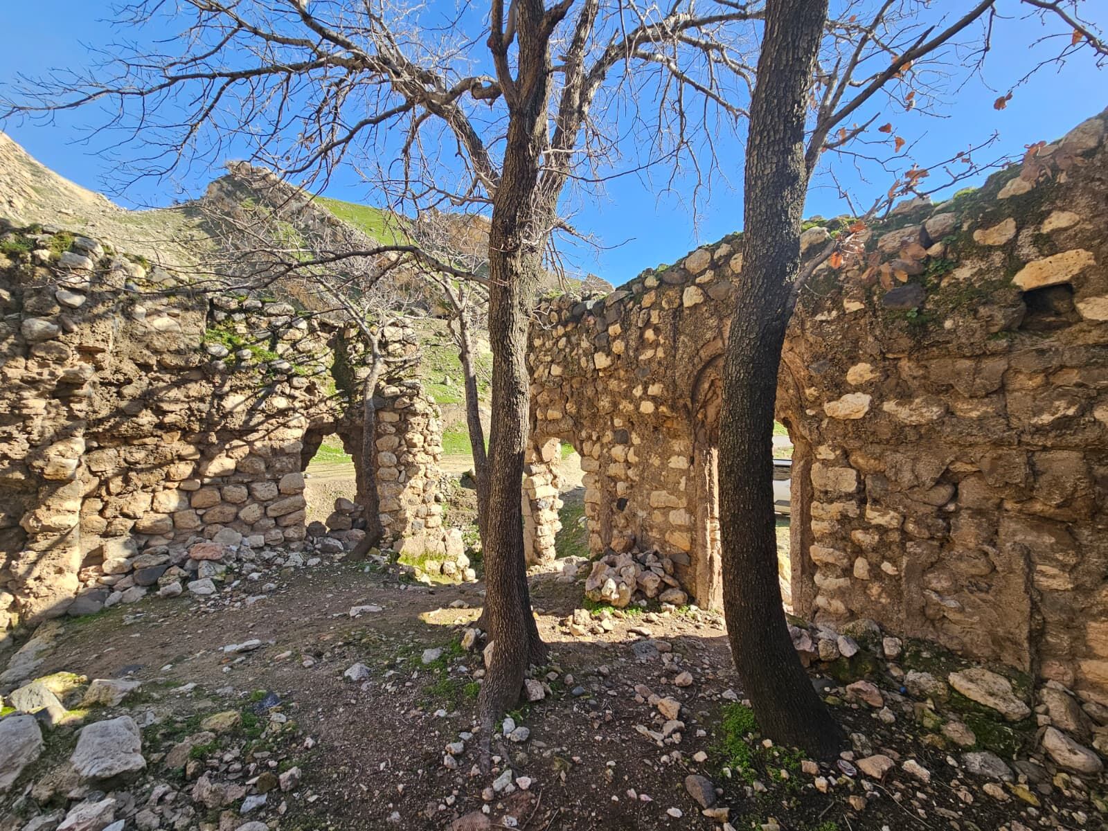 feke teyran-1