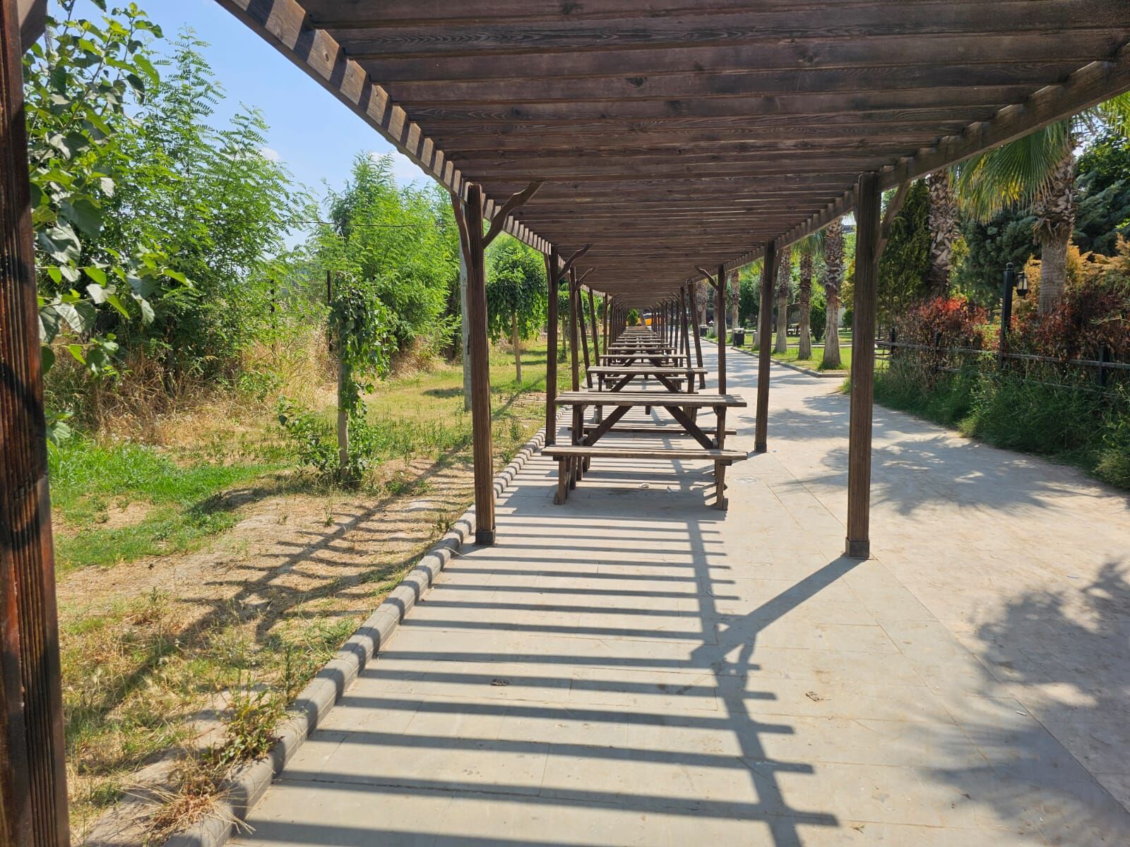surdipi parkı