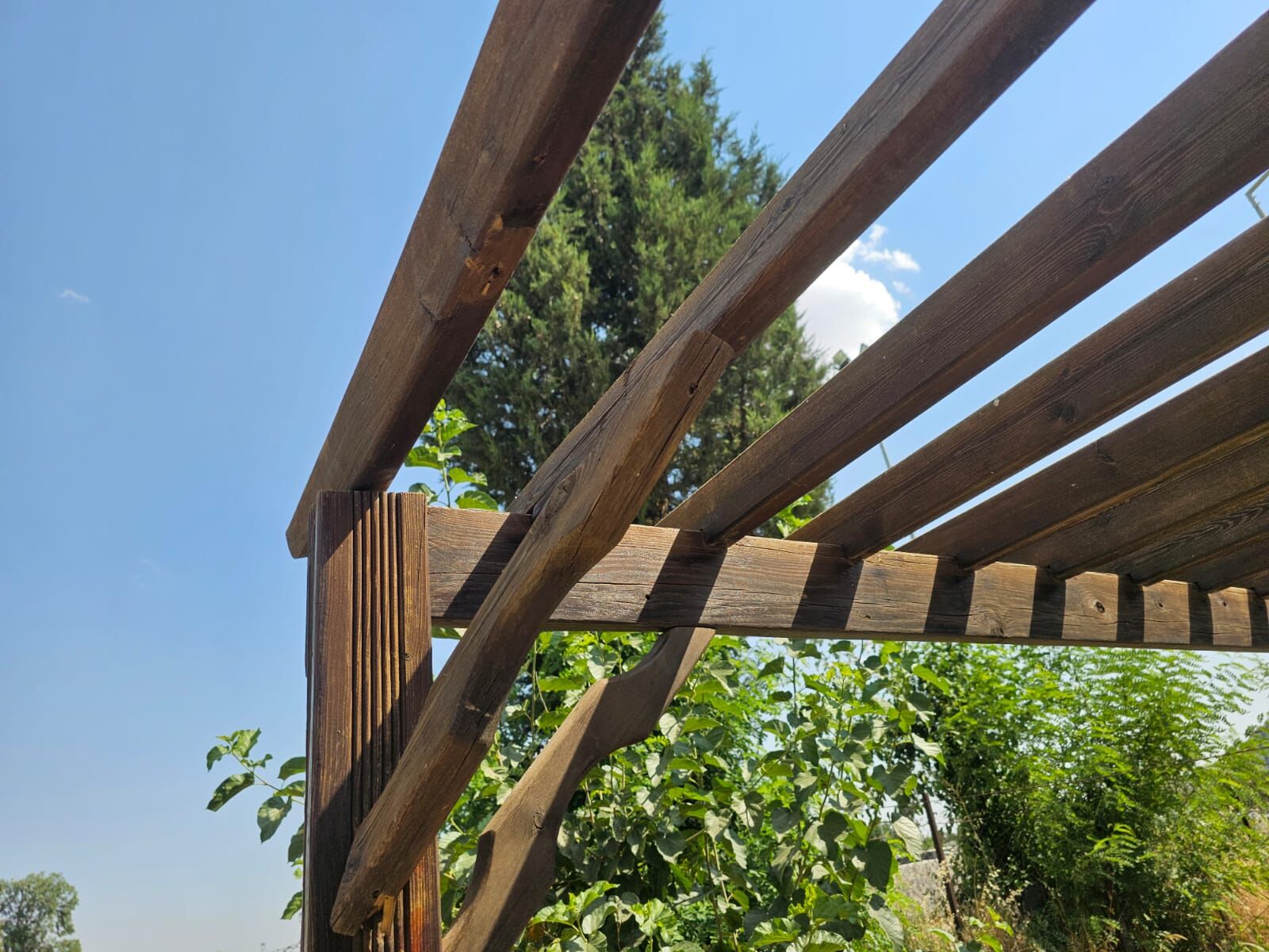 park-1