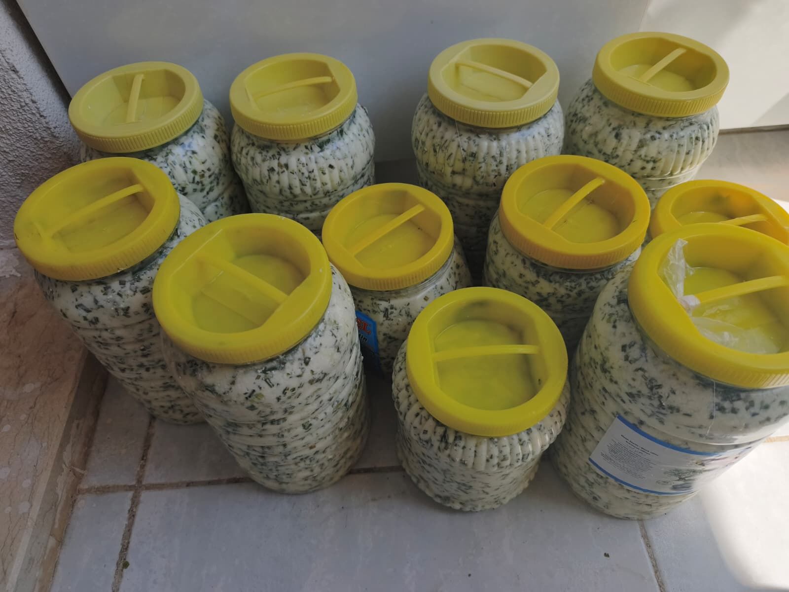 otlu peunir şırnak