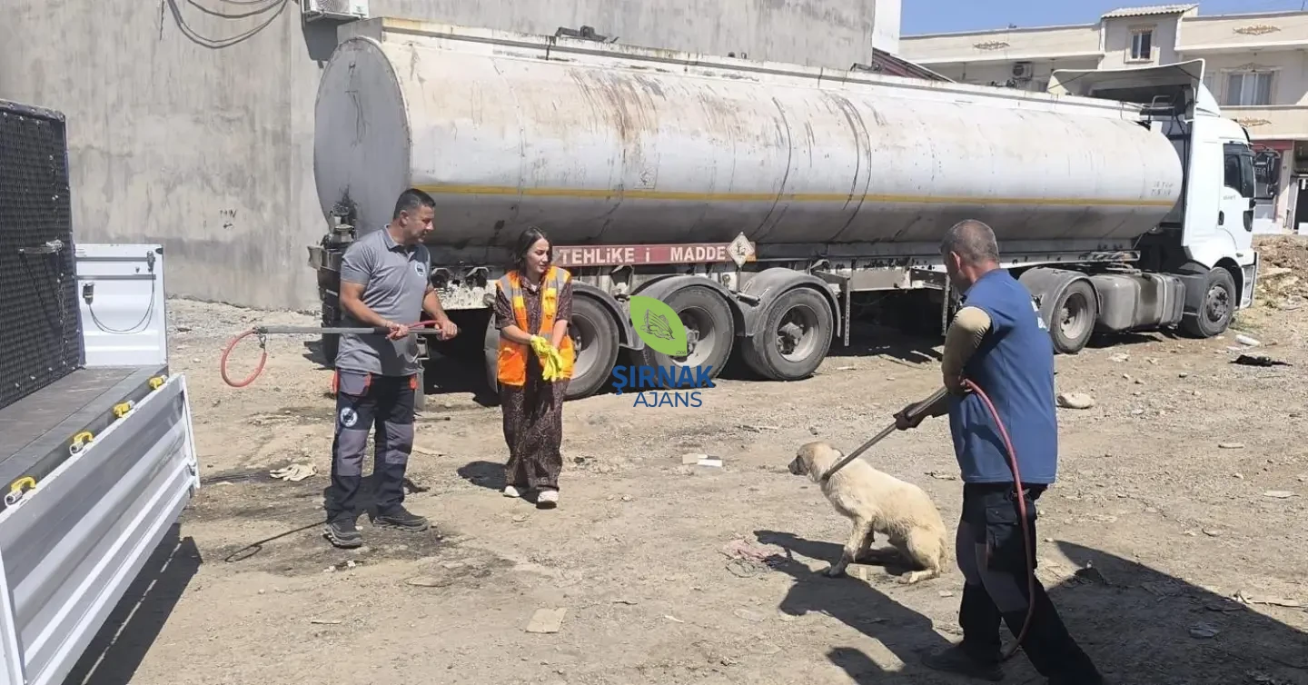 Başverimli Beldemizde Ve Çevresinde Vatandaşlarımızın Huzur Ve Güvenliği Için Saldırgan Köpekle (1)