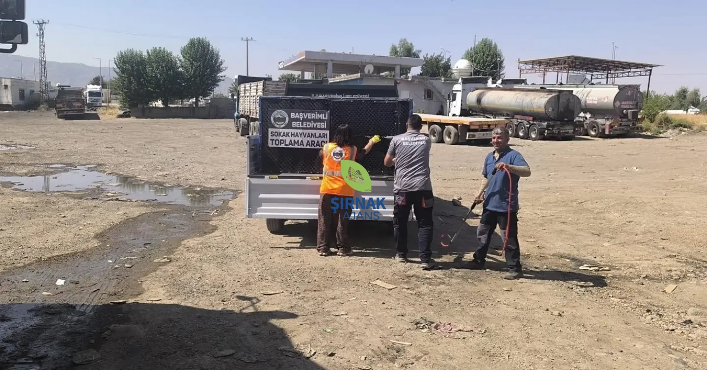 Başverimli Beldemizde Ve Çevresinde Vatandaşlarımızın Huzur Ve Güvenliği Için Saldırgan Köpekle (3)