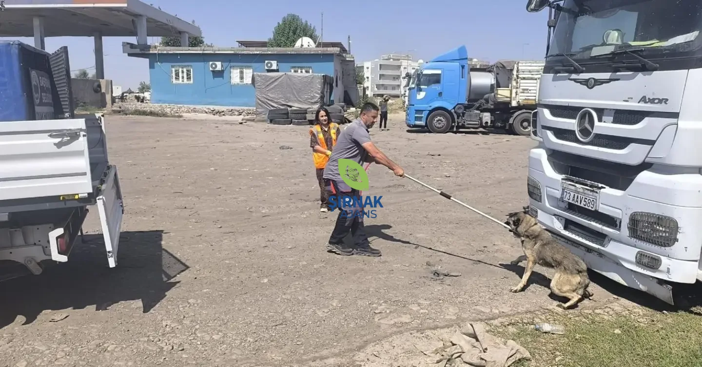 Başverimli Beldemizde Ve Çevresinde Vatandaşlarımızın Huzur Ve Güvenliği Için Saldırgan Köpekle (5)