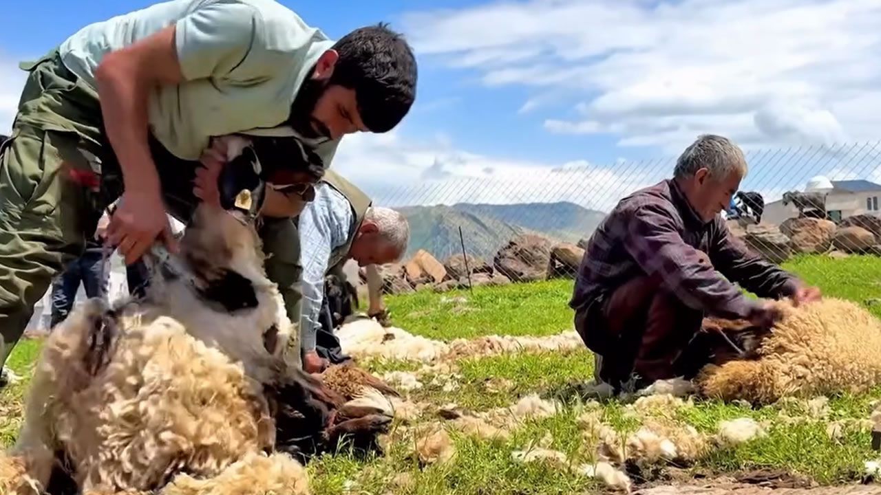 Güçlü Konak 3