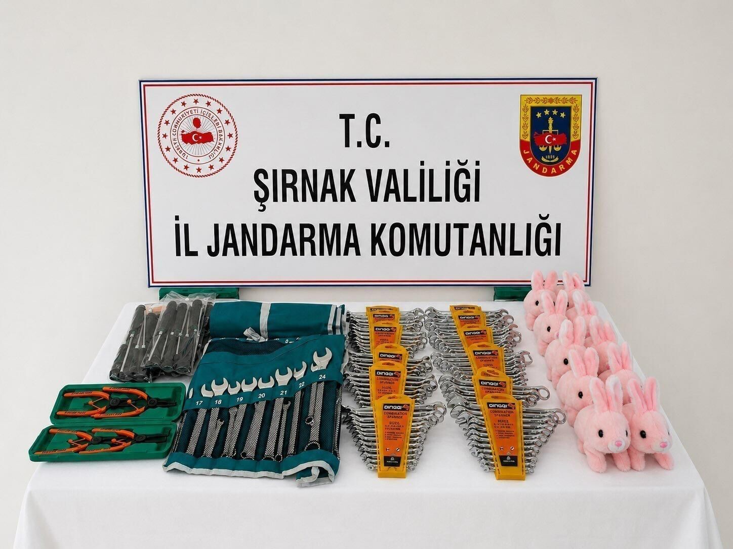 Kaçakçılık (5)