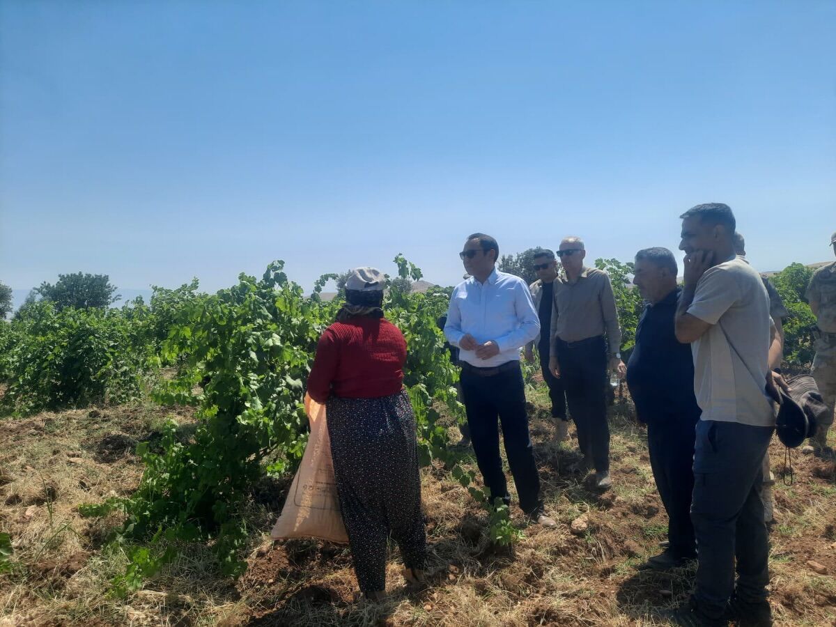 silopi bağ-1