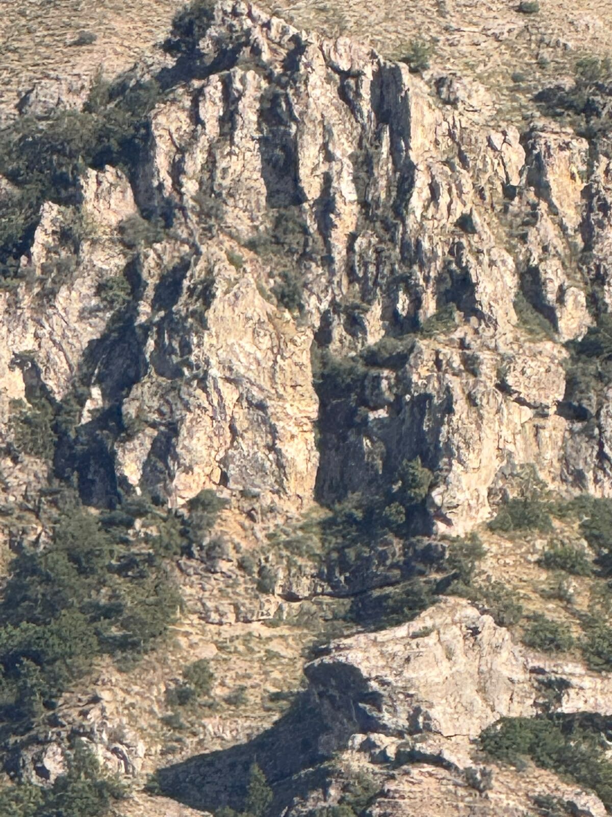 Mahsur Dağci (1)