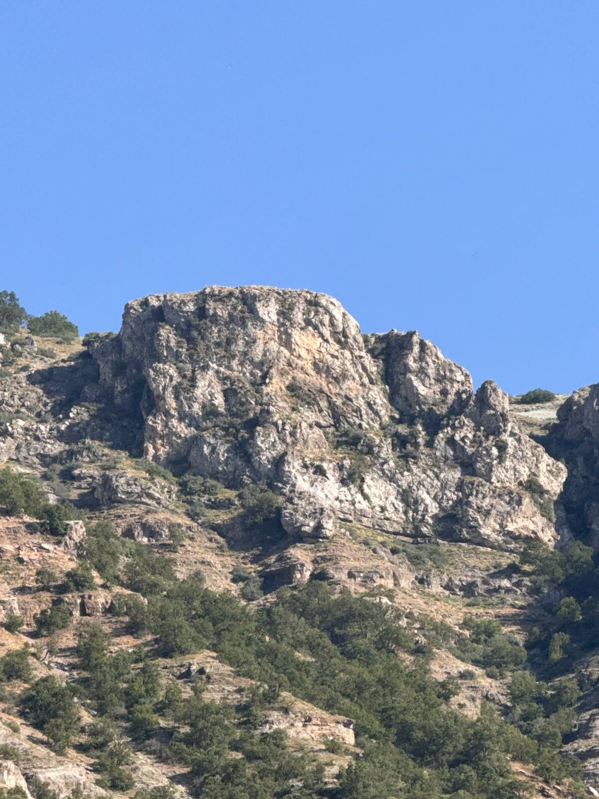 Mahsur Dağci (3)