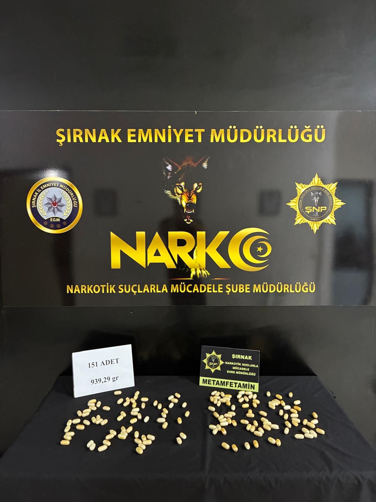 Operasyon Şirnak (5)