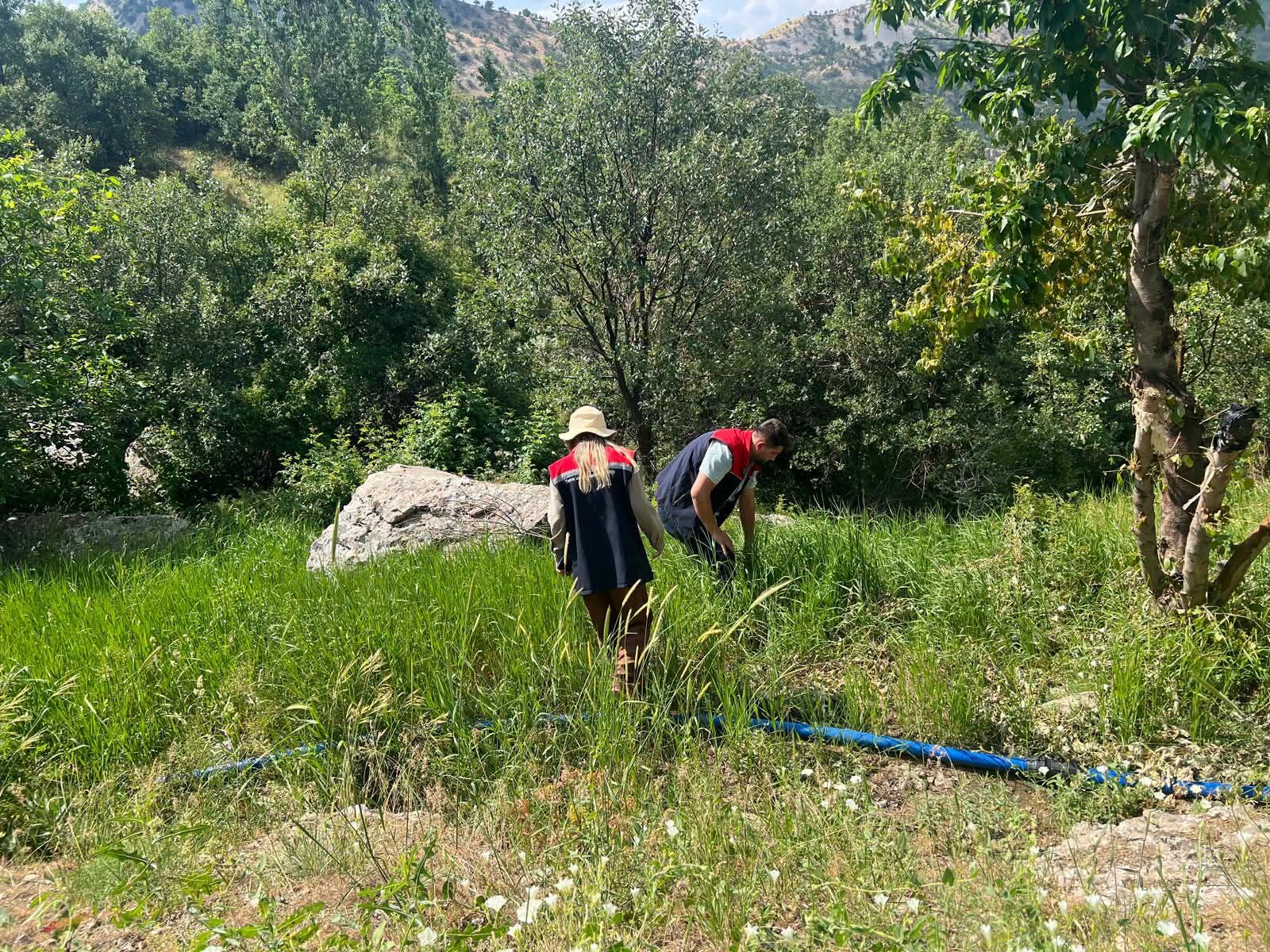 mera çegirge-1
