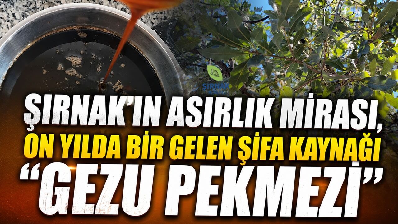 Şırnak'ta Gezu Bereketi Geleneksel Pekmez Üretimi Başladı