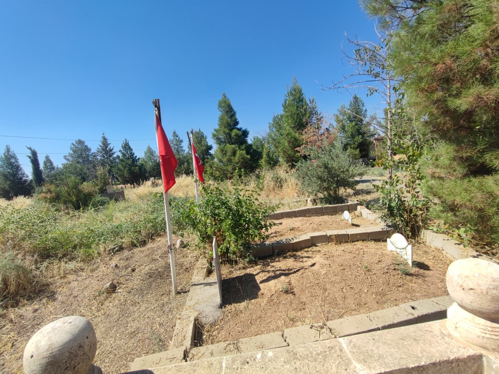 Başverimli Mezarlık (3)