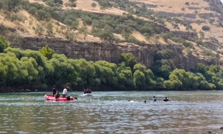 Dicle-11