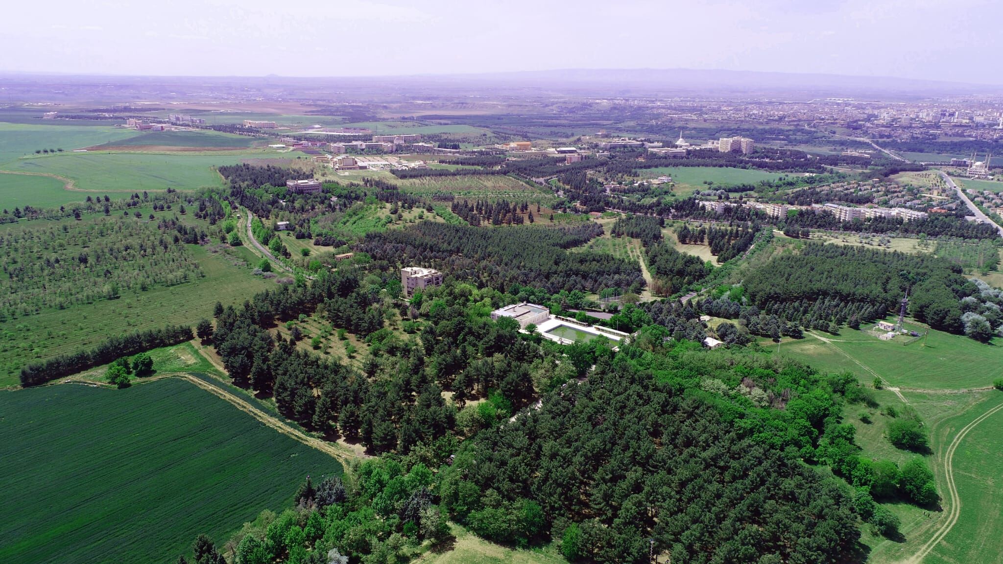 Dicle Üni (1)