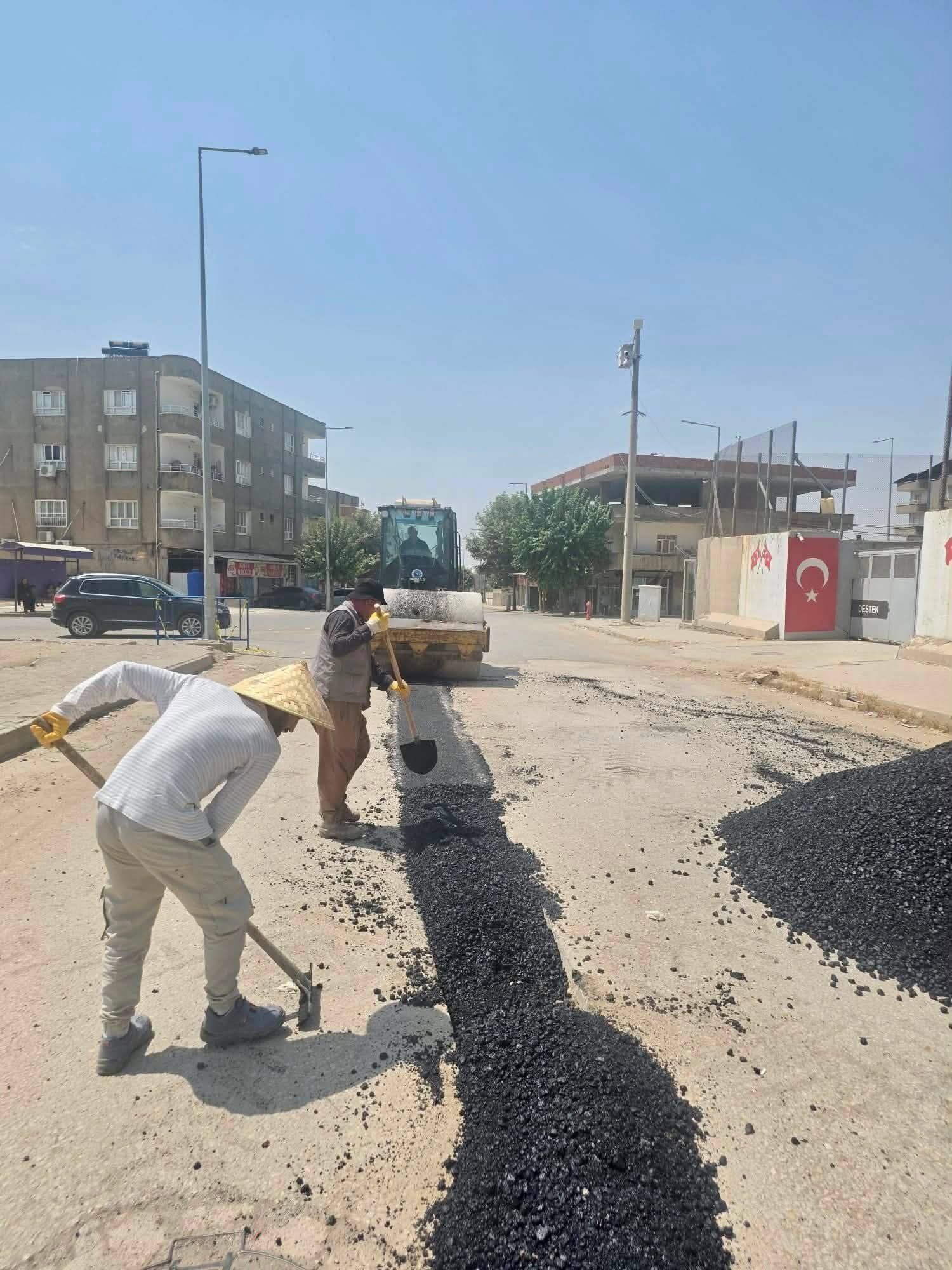 I M G 20260801 W A0011