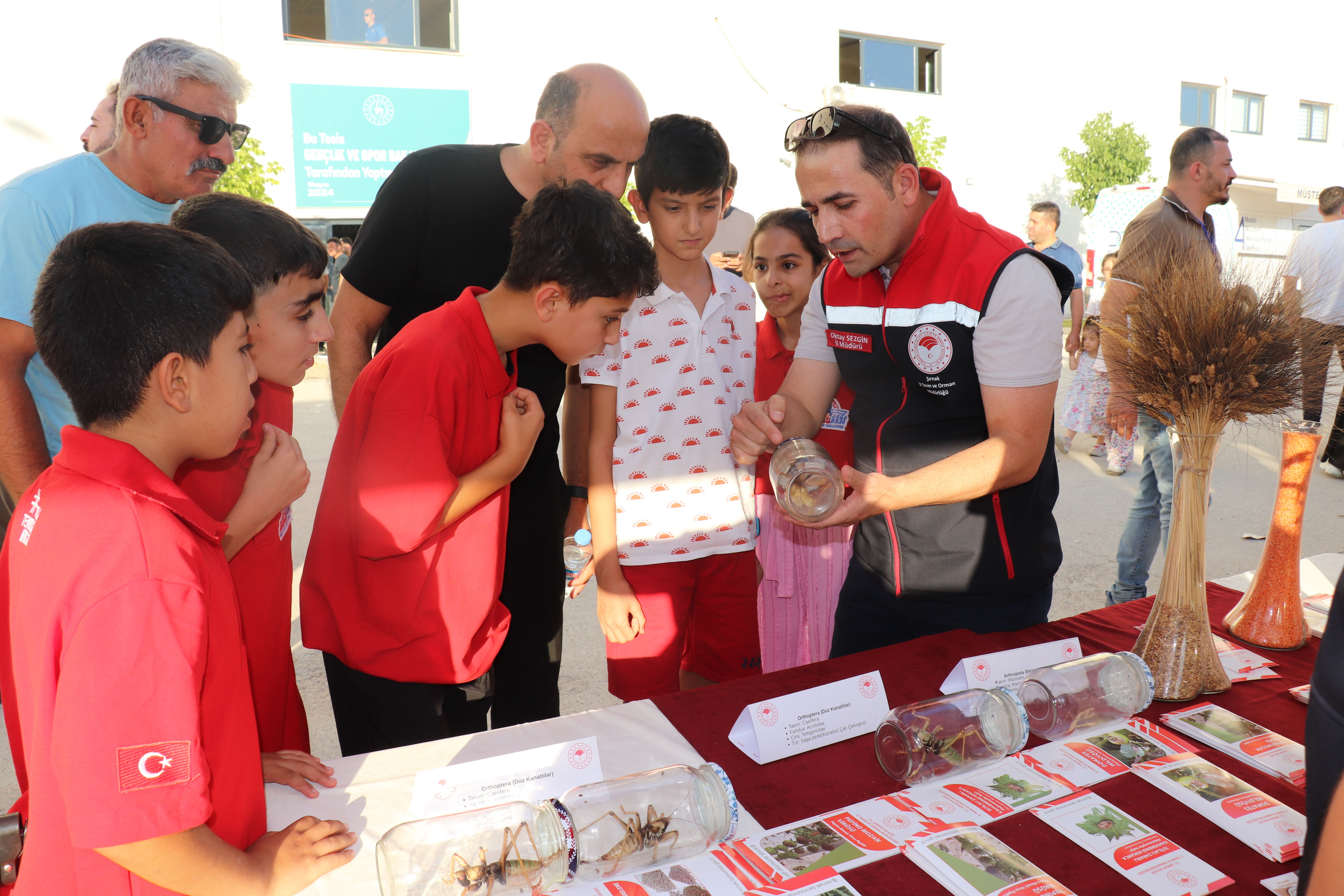 tarım çegirge-1