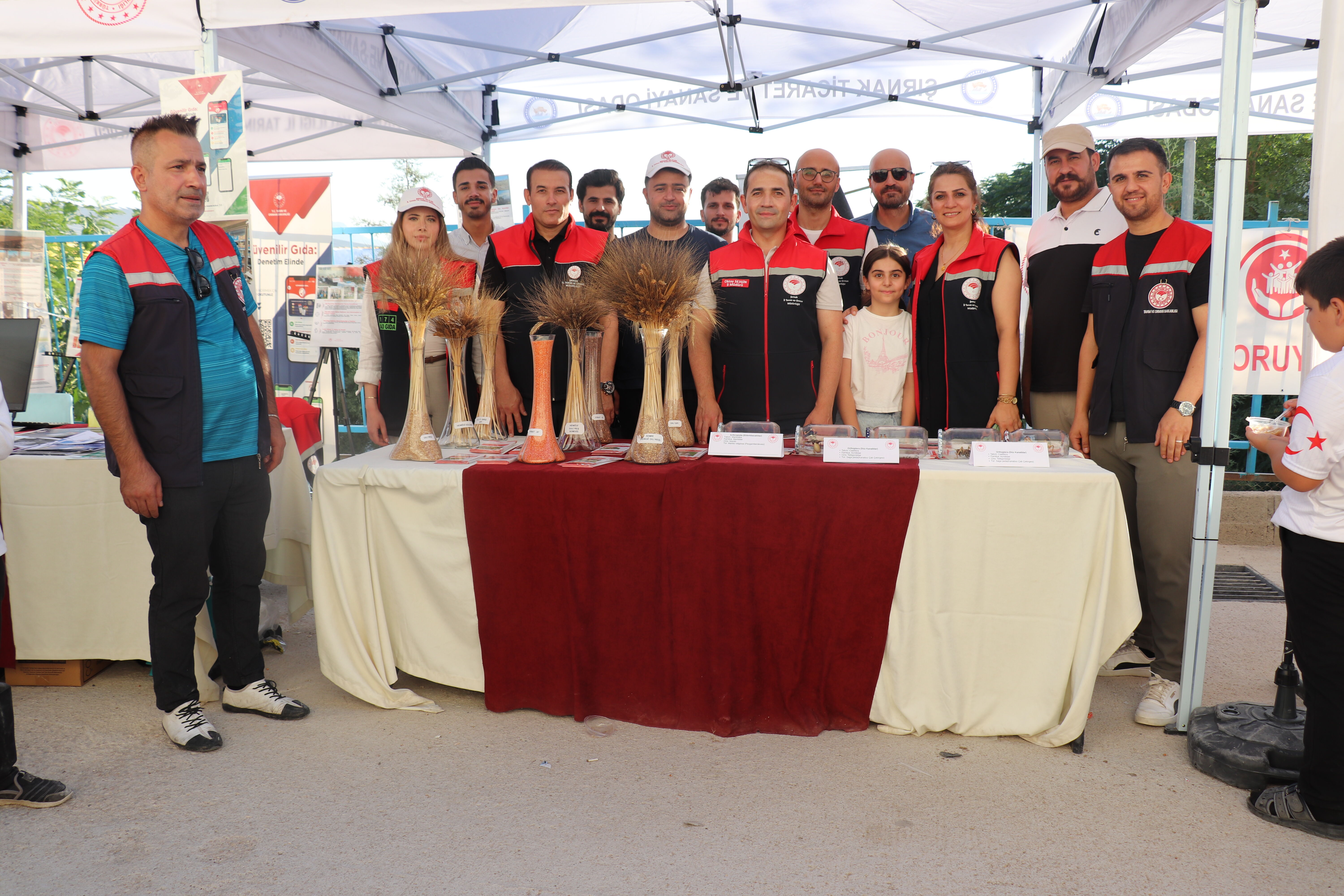 tarım çegirge
