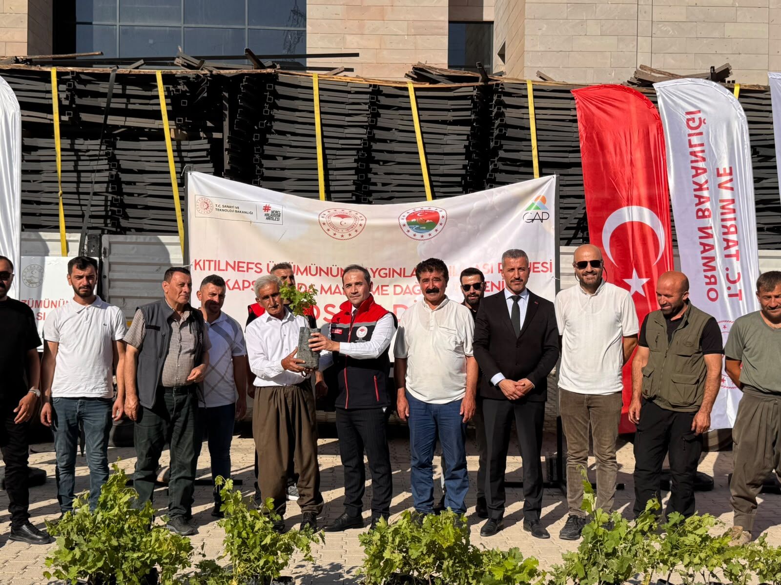 üzüm destek-2