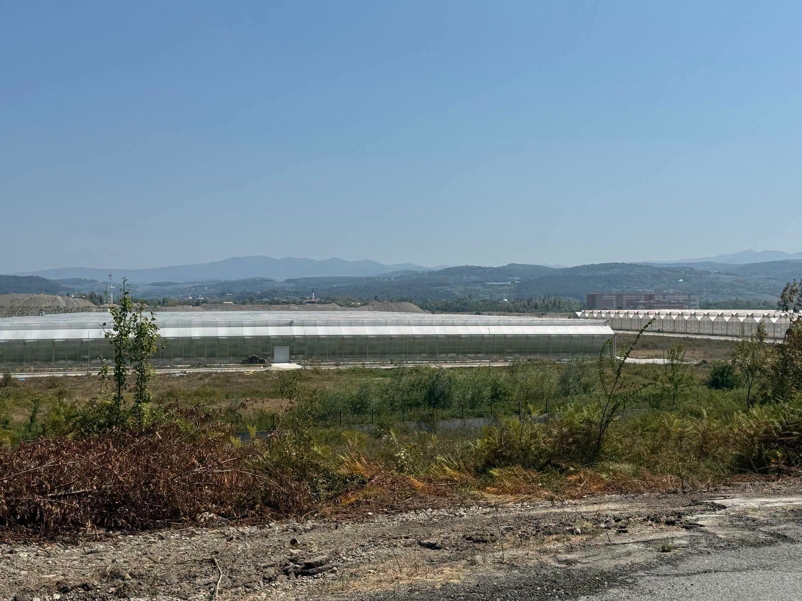 Tso Başkani (3)