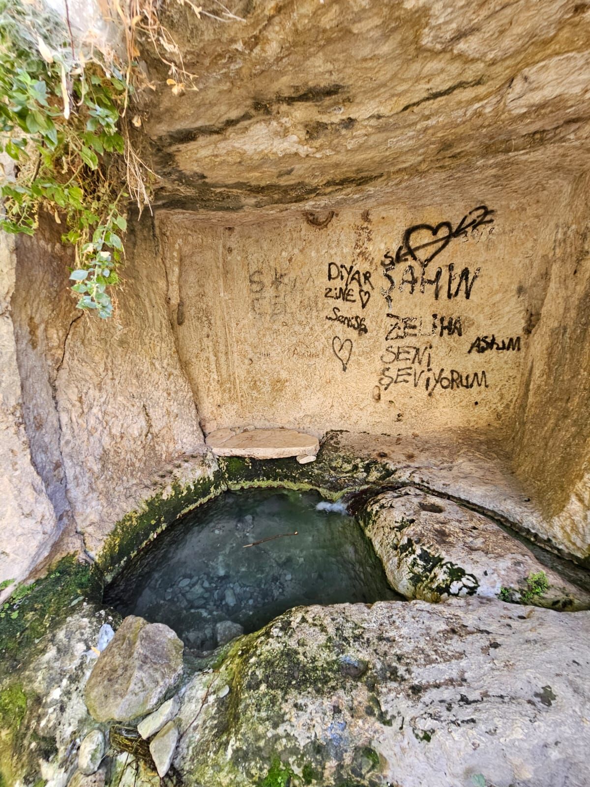 finik yazı-1