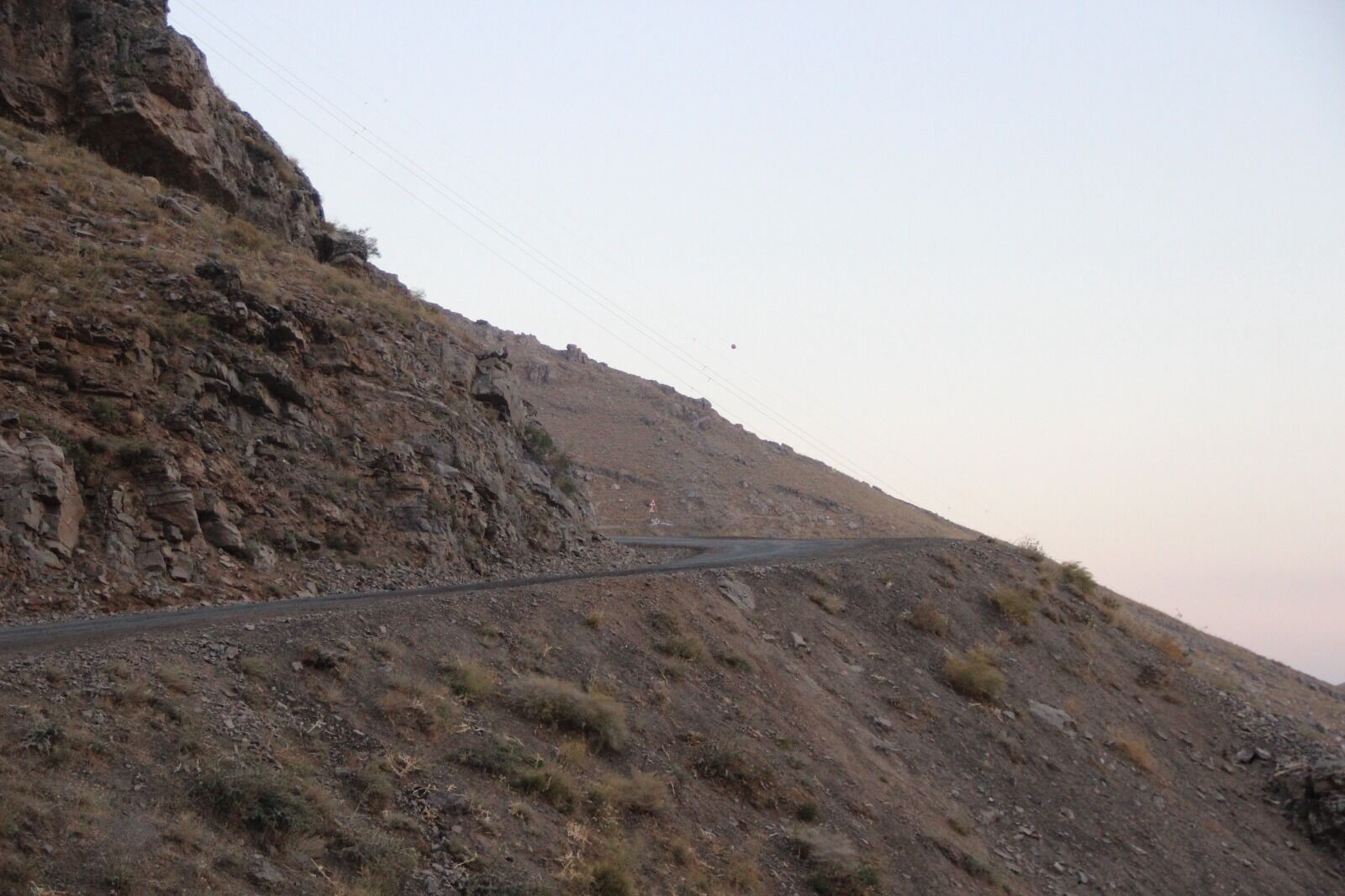 tanin-3