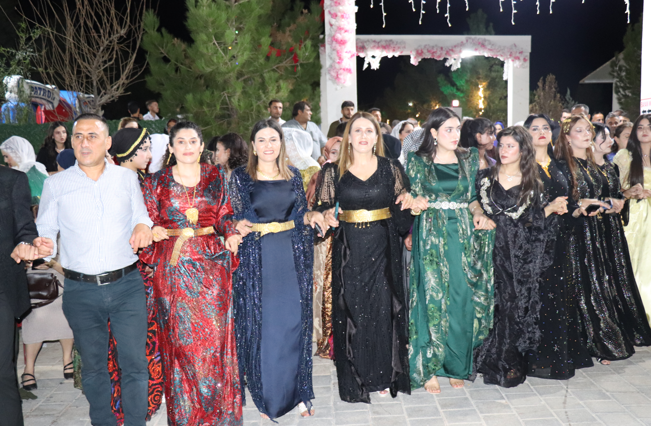 halay-5