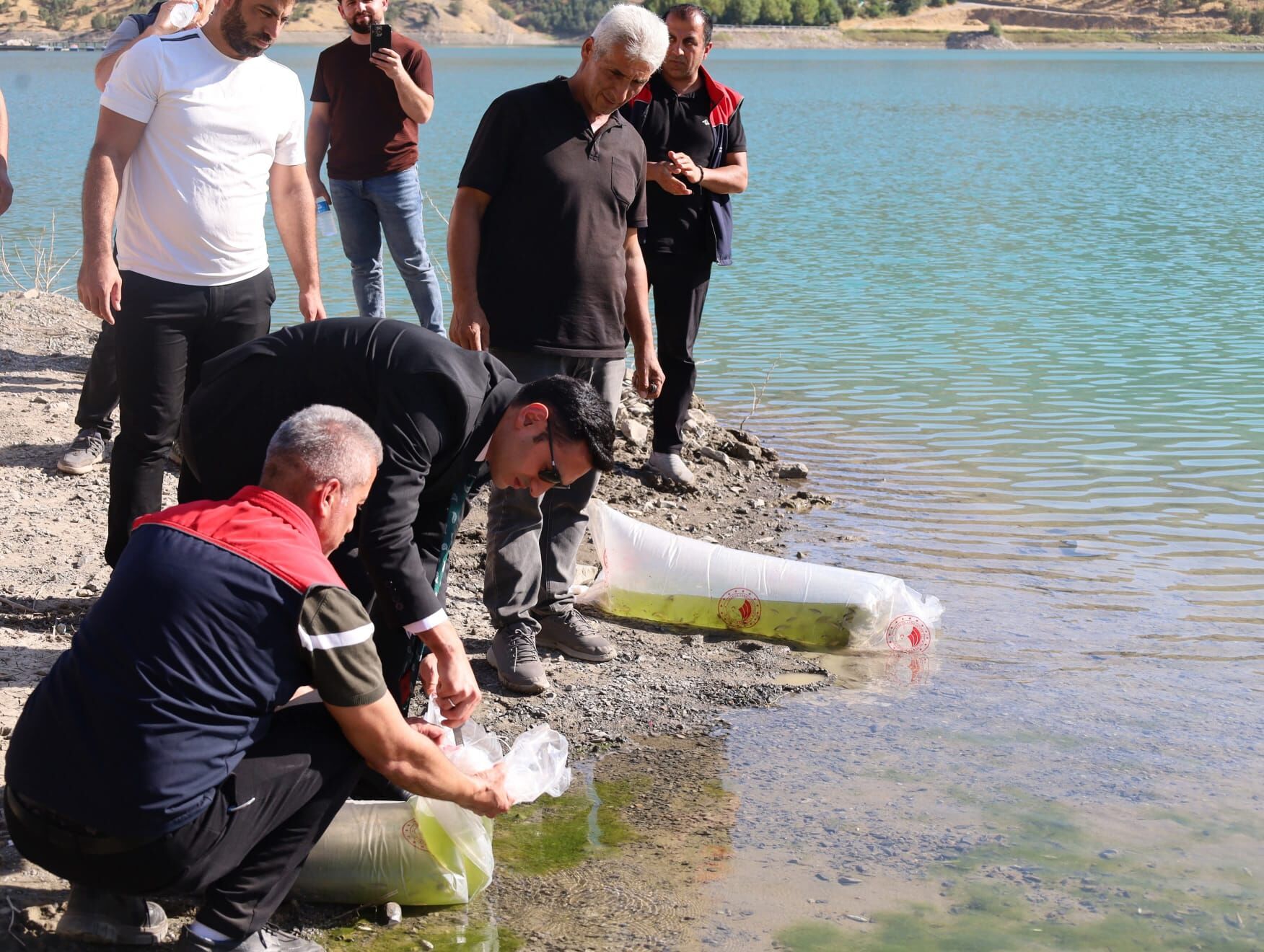 Balik-1