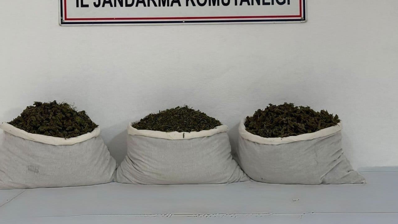 253 bin kök kenevir ve 42 kilo esrar ele geçirildi