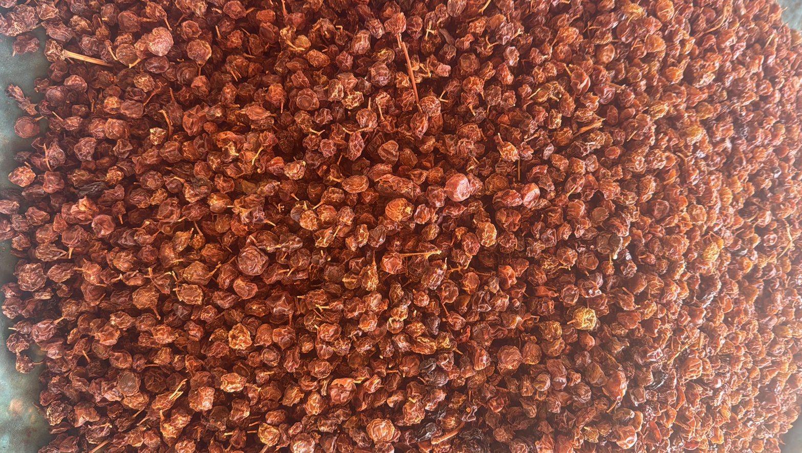Kuru Üzüm-3
