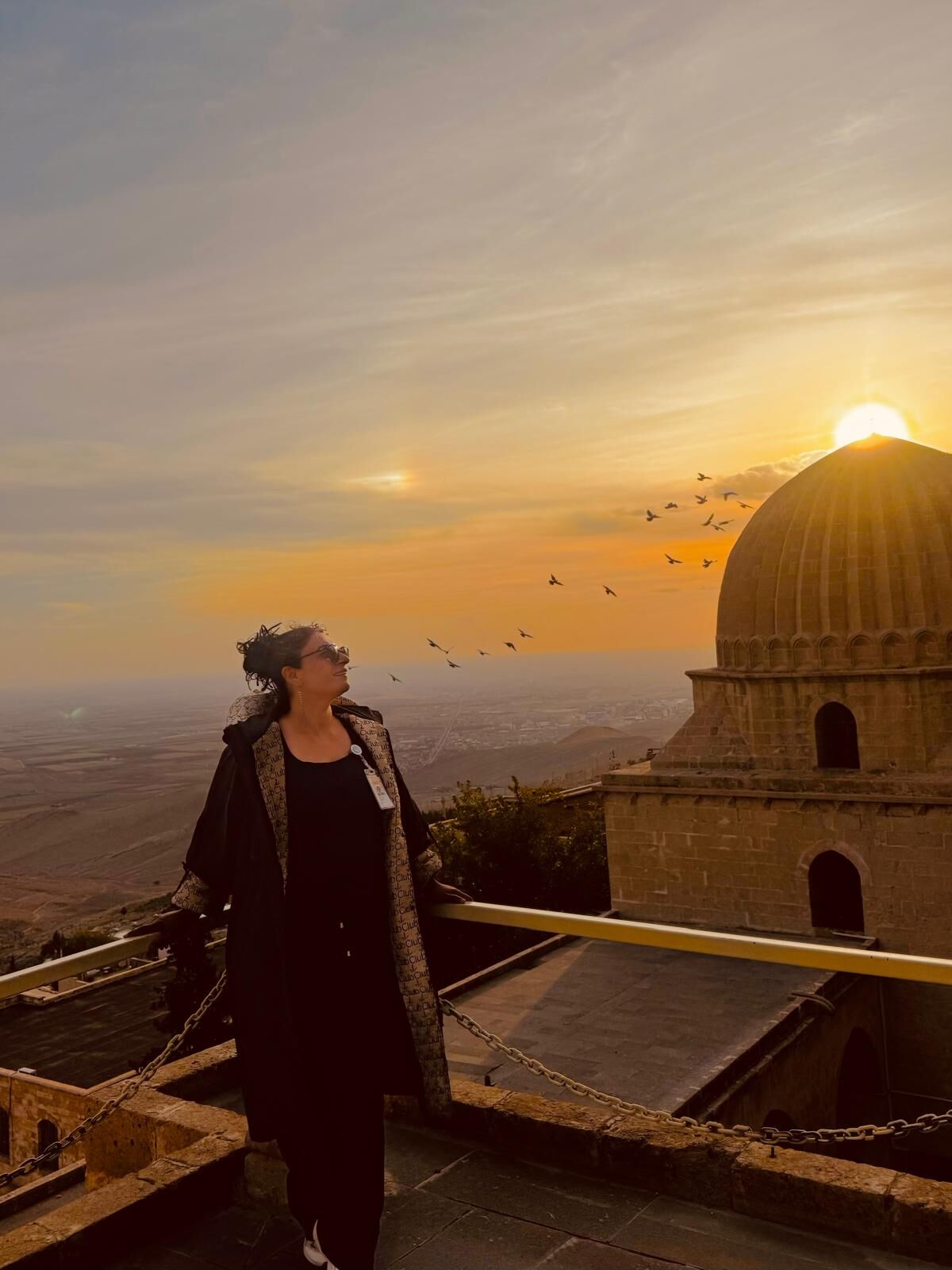 Mardi̇n Tari̇h (3)
