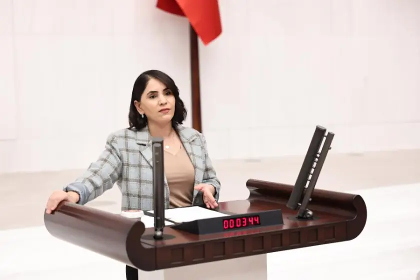 Şırnak Milletvekili Aslan'dan Orman Sınırları Tepkisi