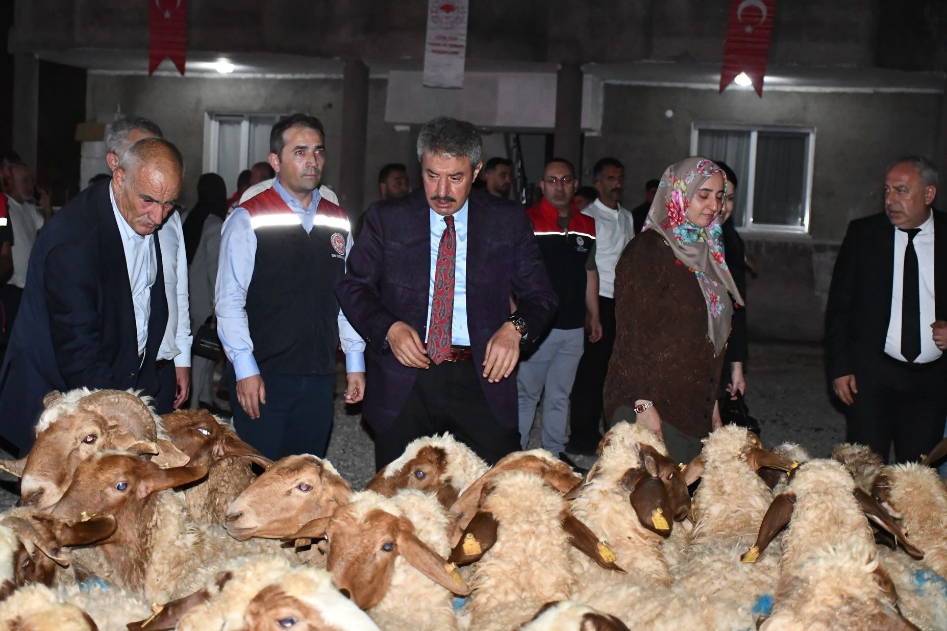Cizreli Kadın Çiftçiye 100 Küçükbaş Hayvan Teslim Edildi