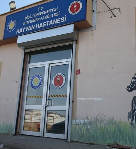 DİCLE ÜNİ