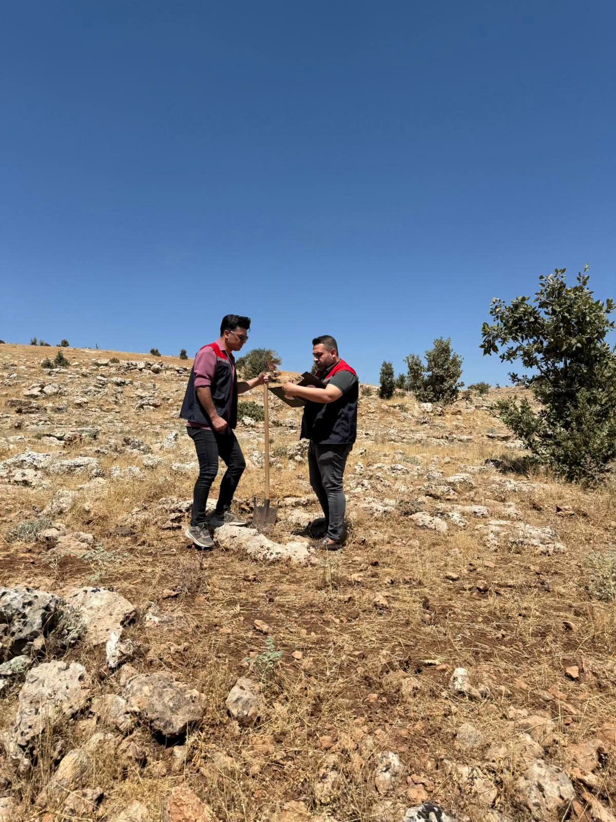 tarım eütü