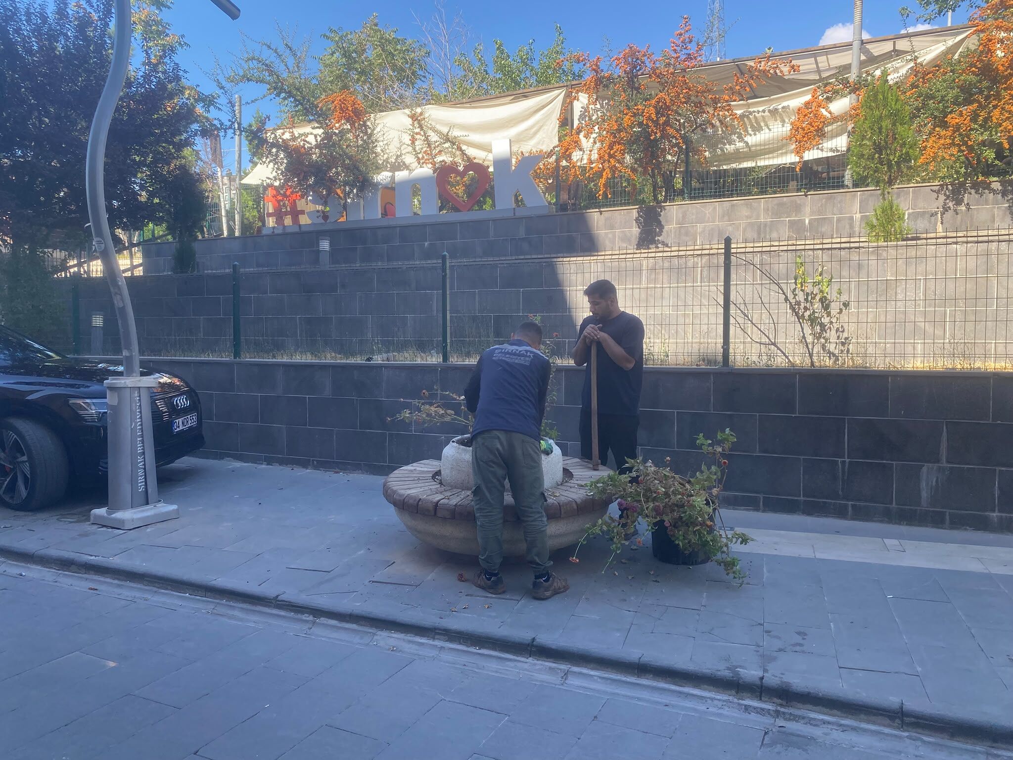 yeşillenme