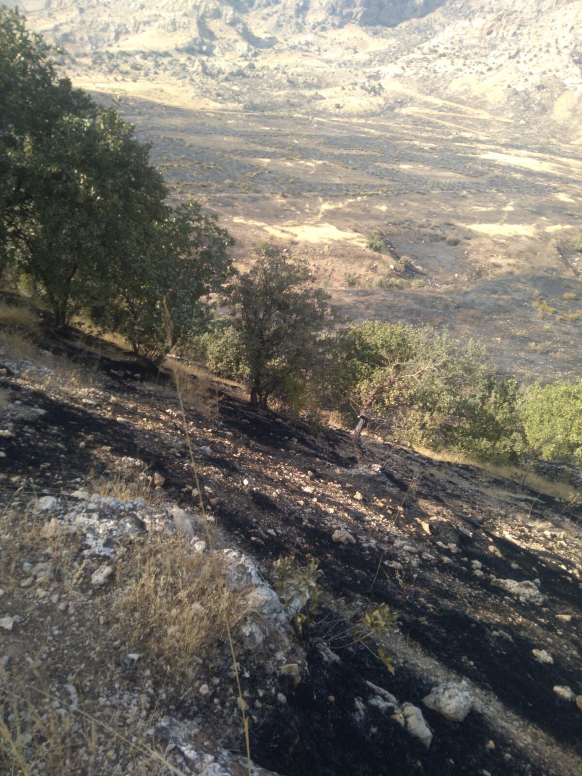 Yangin Seferbeli̇ği̇2 (4)