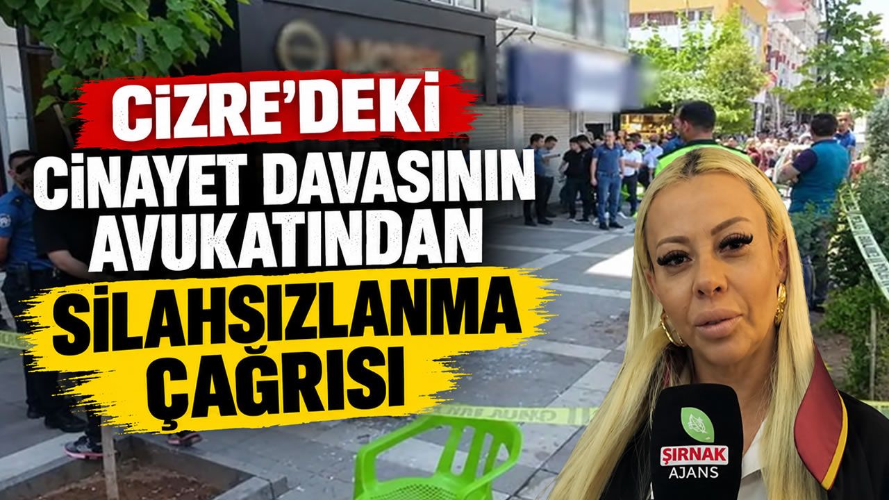 Cizre’deki cinayet davasının avukatından silahsızlanma çağrısı