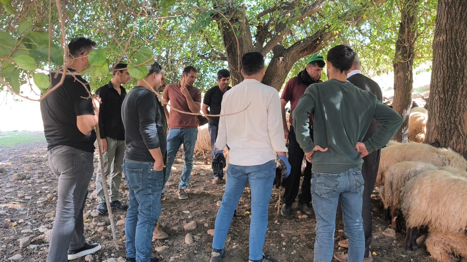 Halk Eği̇ti̇m Foto (1)