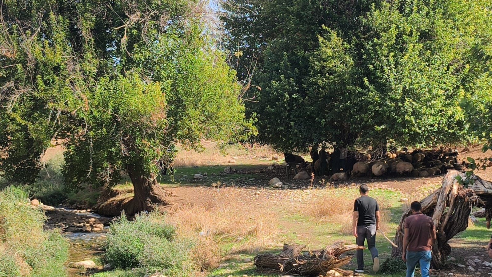 Halk Eği̇ti̇m Foto (12)