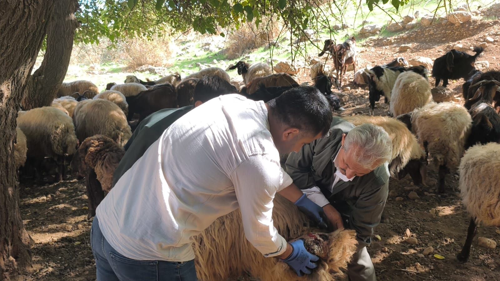 Halk Eği̇ti̇m Foto (2)