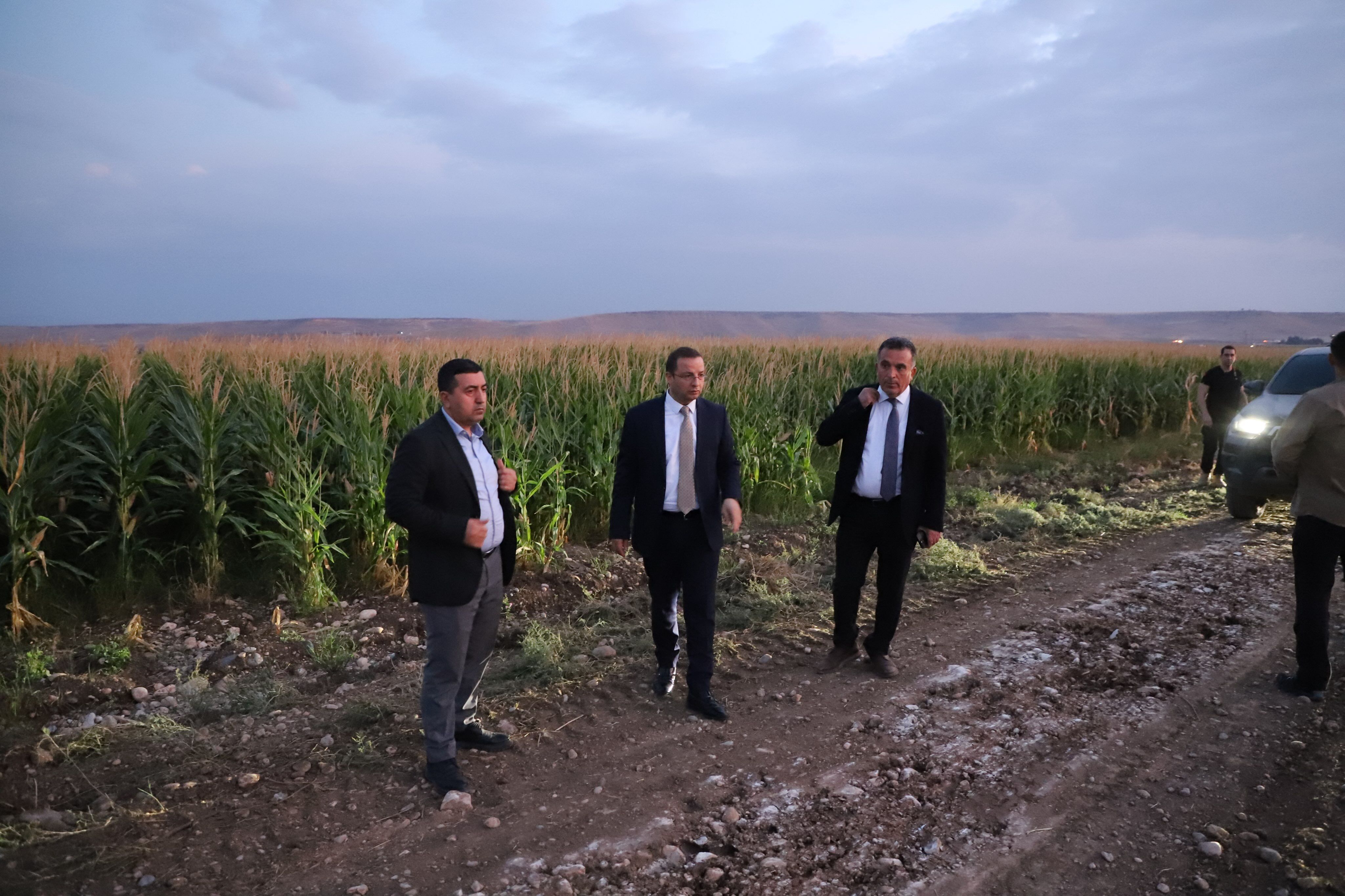 Cizre’de Ulaşımı Kolaylaştıracak Yol Çalışmaları